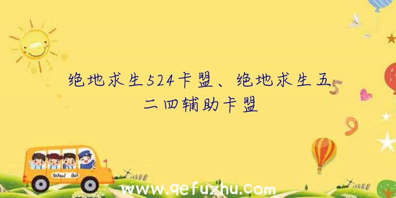 绝地求生524卡盟、绝地求生五二四辅助卡盟