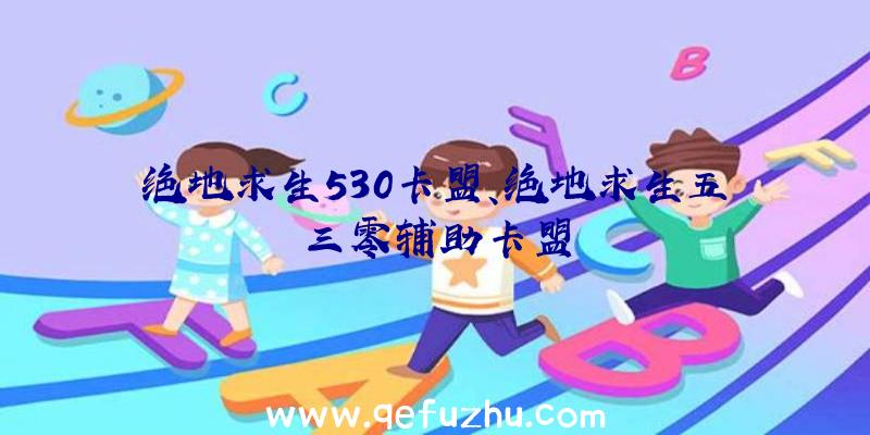 绝地求生530卡盟、绝地求生五三零辅助卡盟