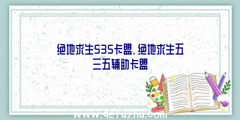 绝地求生535卡盟、绝地求生五三五辅助卡盟