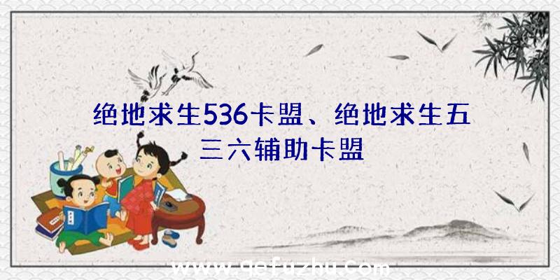 绝地求生536卡盟、绝地求生五三六辅助卡盟