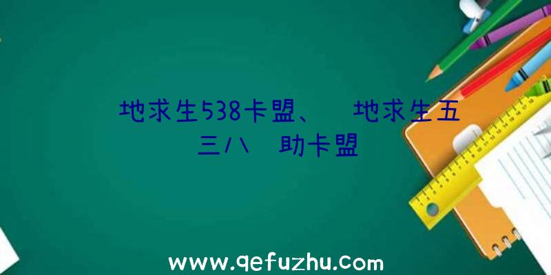 绝地求生538卡盟、绝地求生五三八辅助卡盟