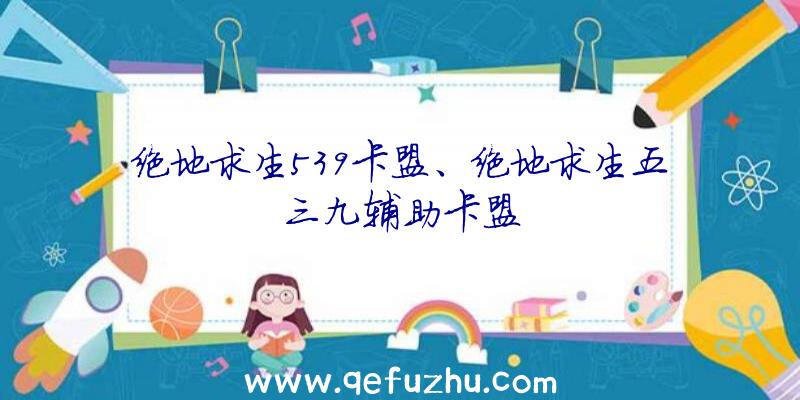 绝地求生539卡盟、绝地求生五三九辅助卡盟