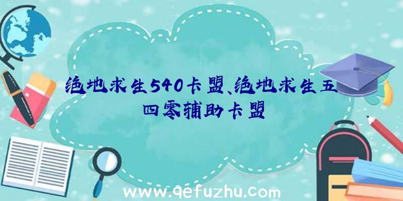 绝地求生540卡盟、绝地求生五四零辅助卡盟