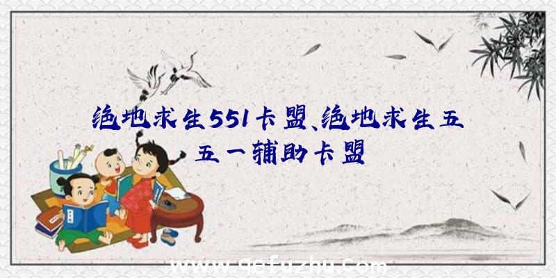 绝地求生551卡盟、绝地求生五五一辅助卡盟