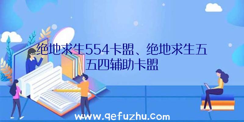 绝地求生554卡盟、绝地求生五五四辅助卡盟