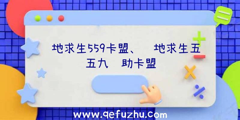 绝地求生559卡盟、绝地求生五五九辅助卡盟