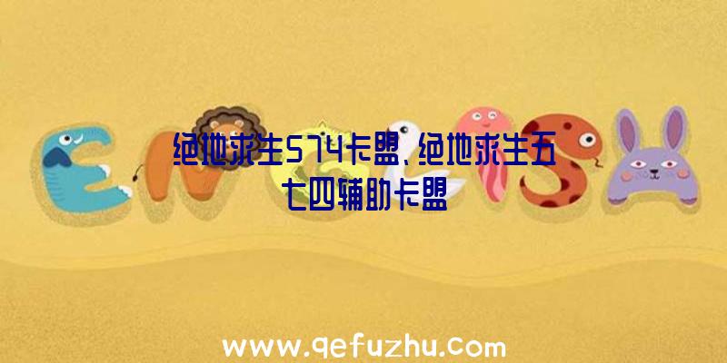 绝地求生574卡盟、绝地求生五七四辅助卡盟