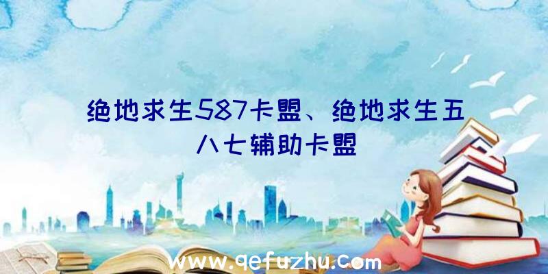 绝地求生587卡盟、绝地求生五八七辅助卡盟