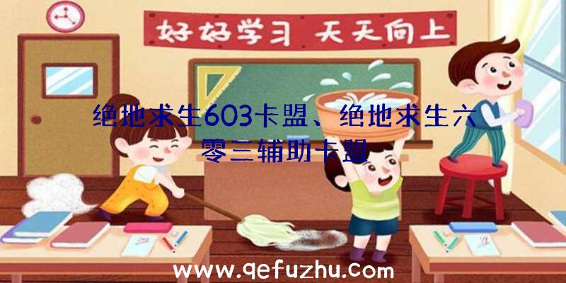 绝地求生603卡盟、绝地求生六零三辅助卡盟