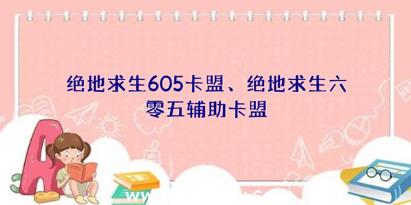 绝地求生605卡盟、绝地求生六零五辅助卡盟