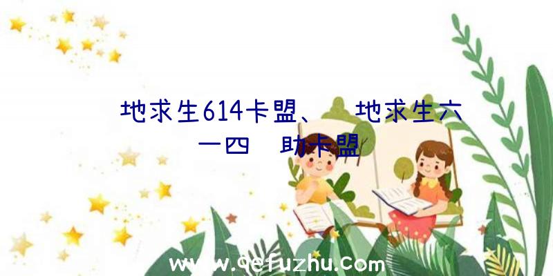 绝地求生614卡盟、绝地求生六一四辅助卡盟