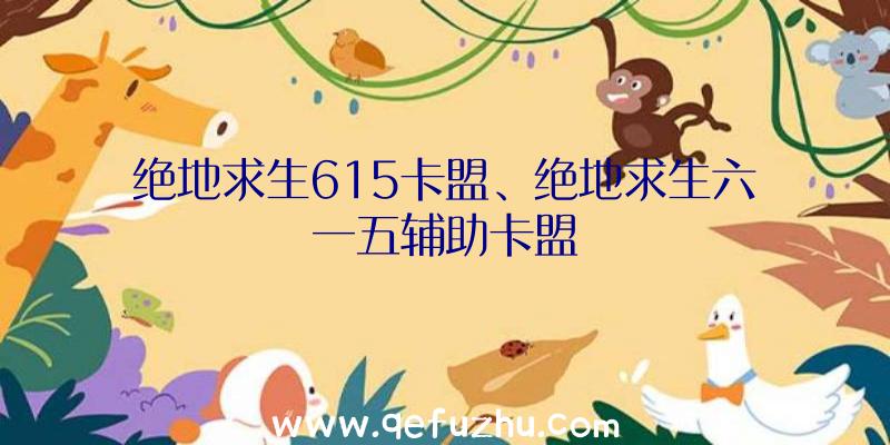 绝地求生615卡盟、绝地求生六一五辅助卡盟