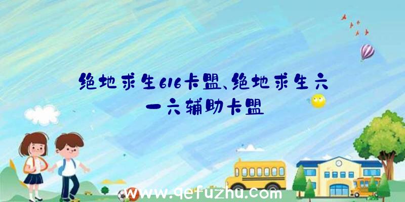 绝地求生616卡盟、绝地求生六一六辅助卡盟