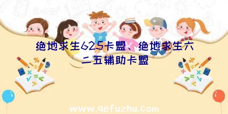 绝地求生625卡盟、绝地求生六二五辅助卡盟