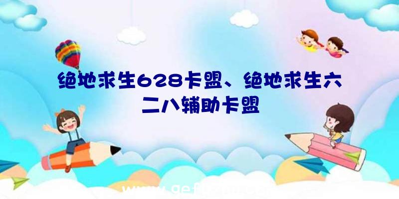 绝地求生628卡盟、绝地求生六二八辅助卡盟