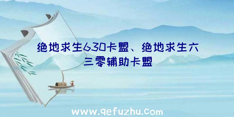 绝地求生630卡盟、绝地求生六三零辅助卡盟