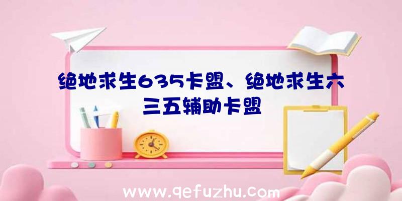 绝地求生635卡盟、绝地求生六三五辅助卡盟