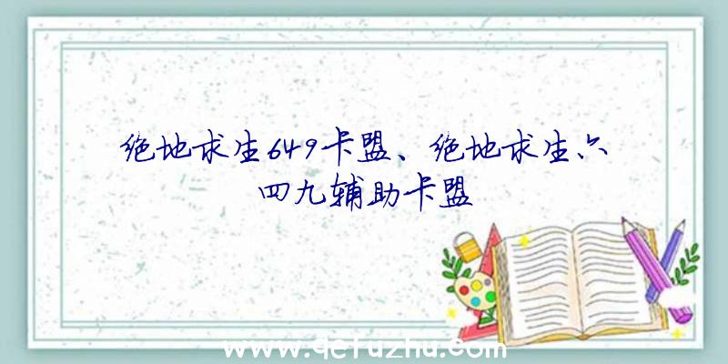 绝地求生649卡盟、绝地求生六四九辅助卡盟