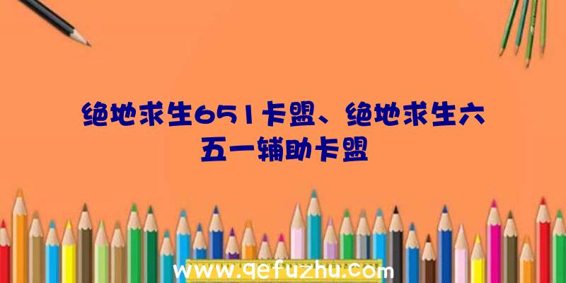 绝地求生651卡盟、绝地求生六五一辅助卡盟