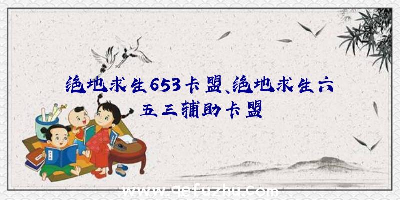 绝地求生653卡盟、绝地求生六五三辅助卡盟