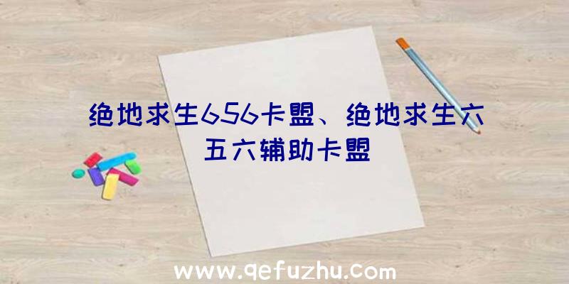 绝地求生656卡盟、绝地求生六五六辅助卡盟