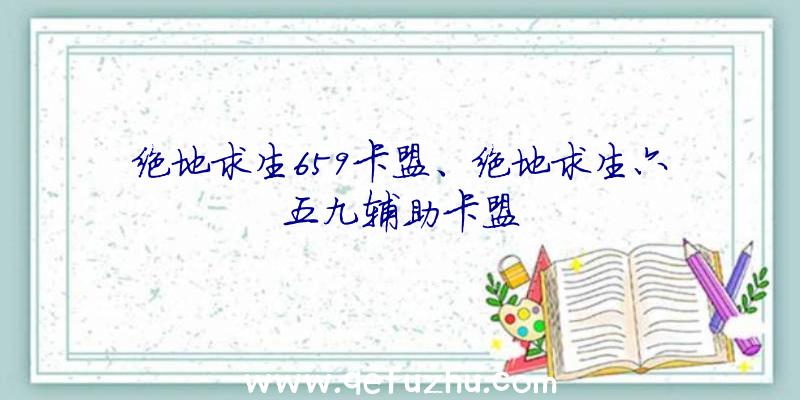 绝地求生659卡盟、绝地求生六五九辅助卡盟