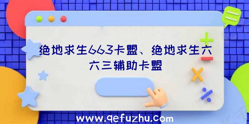 绝地求生663卡盟、绝地求生六六三辅助卡盟