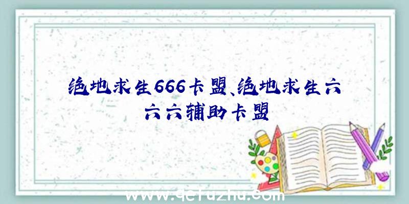 绝地求生666卡盟、绝地求生六六六辅助卡盟