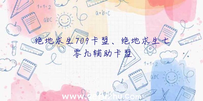 绝地求生709卡盟、绝地求生七零九辅助卡盟