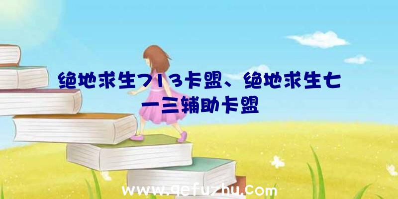 绝地求生713卡盟、绝地求生七一三辅助卡盟