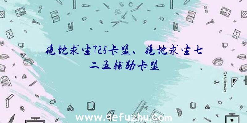 绝地求生725卡盟、绝地求生七二五辅助卡盟