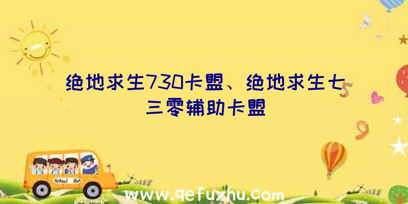 绝地求生730卡盟、绝地求生七三零辅助卡盟