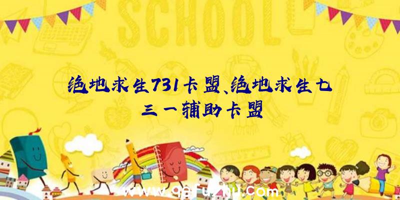 绝地求生731卡盟、绝地求生七三一辅助卡盟