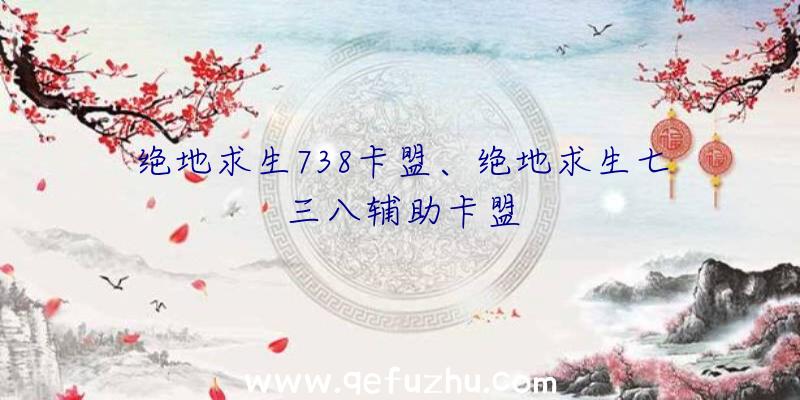 绝地求生738卡盟、绝地求生七三八辅助卡盟