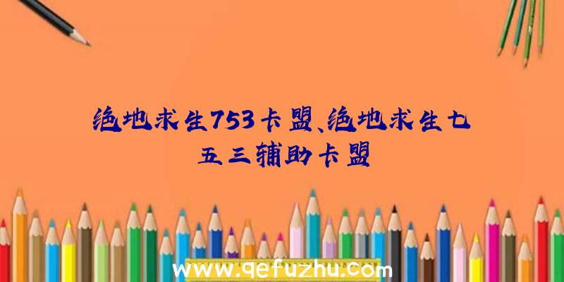 绝地求生753卡盟、绝地求生七五三辅助卡盟