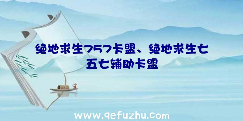 绝地求生757卡盟、绝地求生七五七辅助卡盟