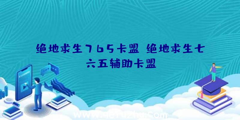 绝地求生765卡盟、绝地求生七六五辅助卡盟