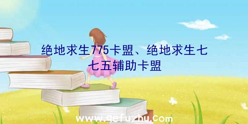 绝地求生775卡盟、绝地求生七七五辅助卡盟