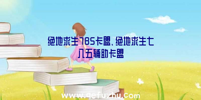 绝地求生785卡盟、绝地求生七八五辅助卡盟