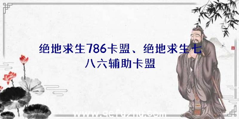 绝地求生786卡盟、绝地求生七八六辅助卡盟