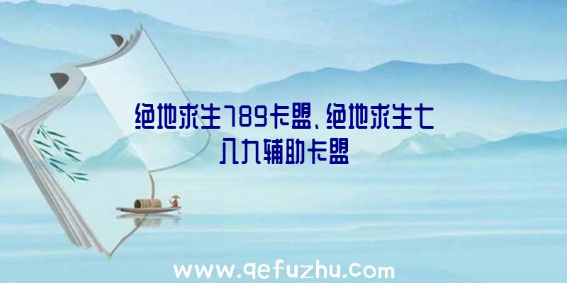 绝地求生789卡盟、绝地求生七八九辅助卡盟