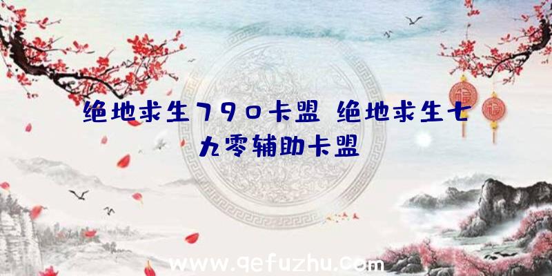 绝地求生790卡盟、绝地求生七九零辅助卡盟