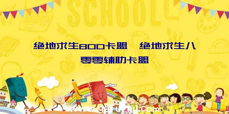 绝地求生800卡盟、绝地求生八零零辅助卡盟