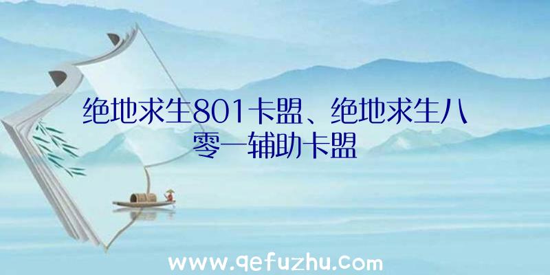 绝地求生801卡盟、绝地求生八零一辅助卡盟