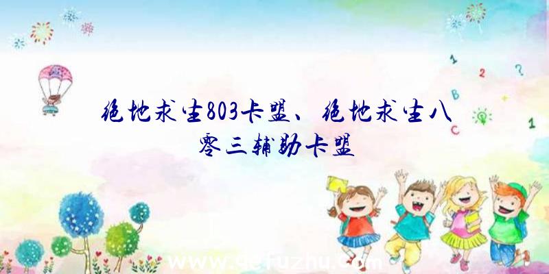 绝地求生803卡盟、绝地求生八零三辅助卡盟