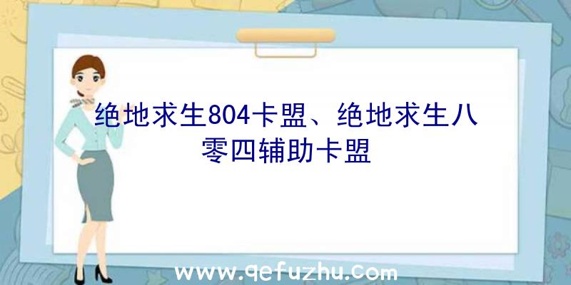 绝地求生804卡盟、绝地求生八零四辅助卡盟