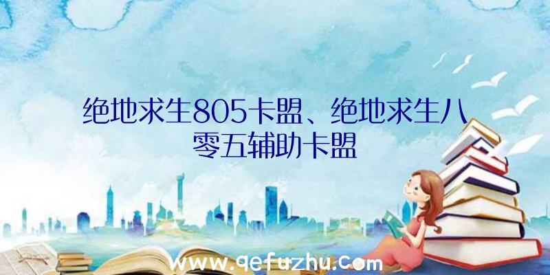 绝地求生805卡盟、绝地求生八零五辅助卡盟