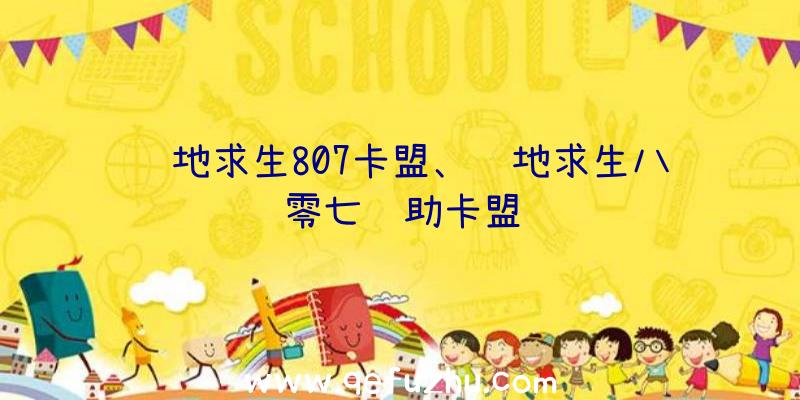 绝地求生807卡盟、绝地求生八零七辅助卡盟