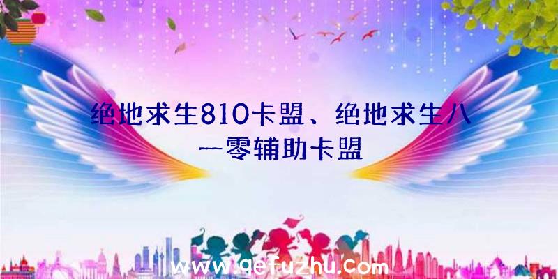 绝地求生810卡盟、绝地求生八一零辅助卡盟