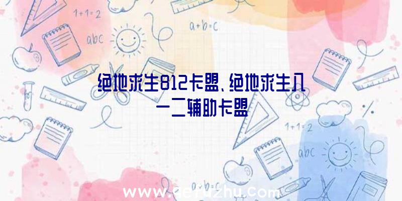 绝地求生812卡盟、绝地求生八一二辅助卡盟